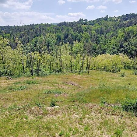 Ecrin De Verdure En Ardeche Verte Colombier-le-Vieux エクステリア 写真
