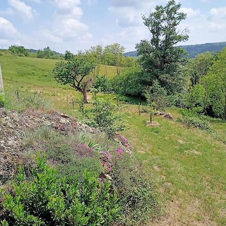 Ecrin De Verdure En Ardeche Verte Colombier-le-Vieux エクステリア 写真