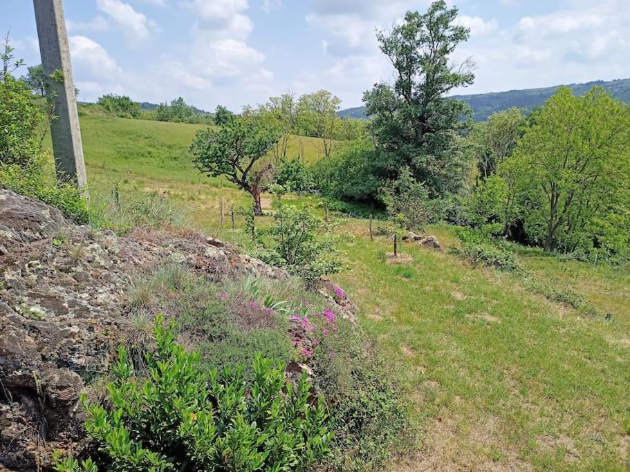 Ecrin De Verdure En Ardeche Verte Colombier-le-Vieux エクステリア 写真